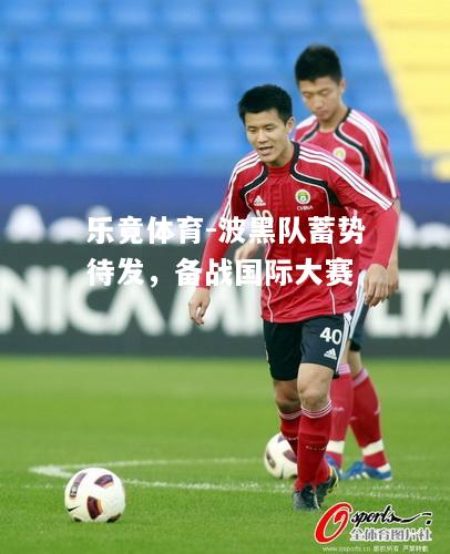 乐竟体育-波黑队蓄势待发，备战国际大赛