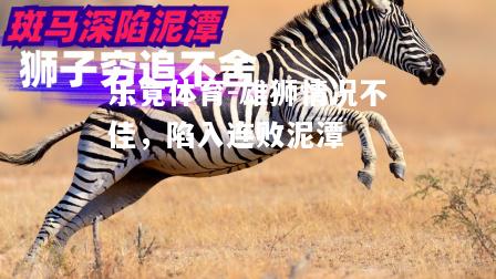 乐竟体育-雄狮情况不佳，陷入连败泥潭