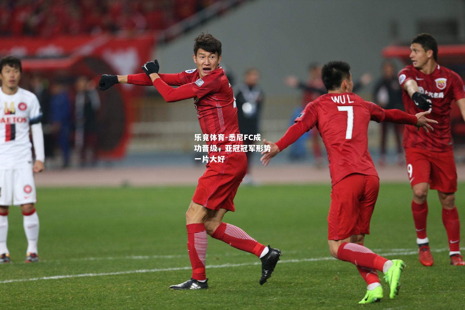 乐竟体育-悉尼FC成功晋级，亚冠冠军形势一片大好