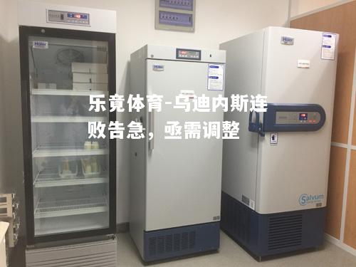 乐竟体育-乌迪内斯连败告急，亟需调整