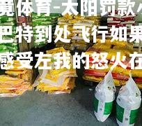 乐竟体育-太阳罚款小节巴特到处飞行如果罚款感受左我的怒火在退宁